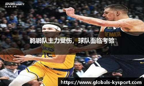 鹈鹕队主力受伤，球队面临考验