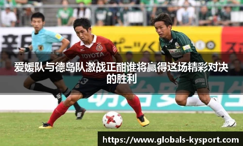爱媛队与德岛队激战正酣谁将赢得这场精彩对决的胜利